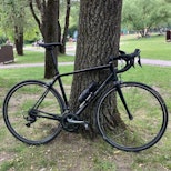 Lightly Upgraded Trek Emonda ALR - High Performance Road Bike | Selling a Trek Emonda ALR (56cm) in sleek black. | velomarkt.ch