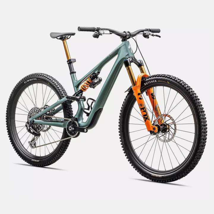 Specialized SWorks Stumpjumper 15 LTD kaufen in Aargau Velomarkt